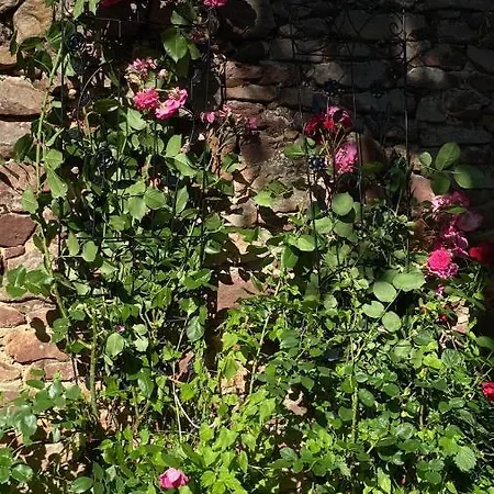 Vendégház Kemencésház Apartman *