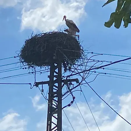 Kemencésház Apartman